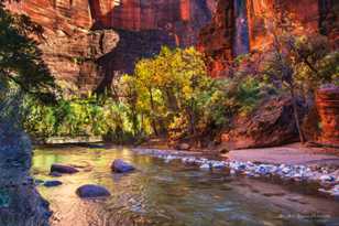 Zion Canyon, Fall-4443.jpg